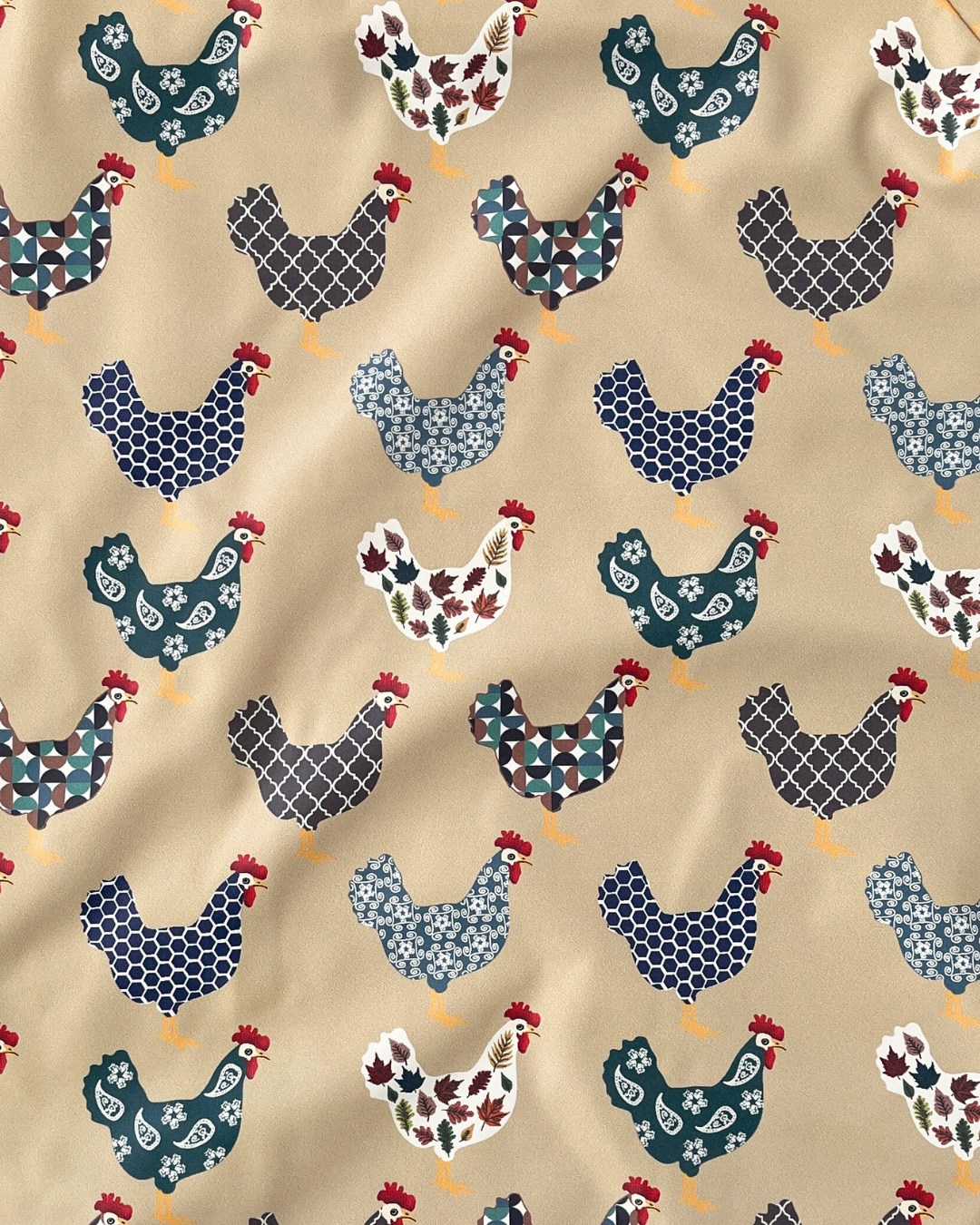 Poules à la ferme