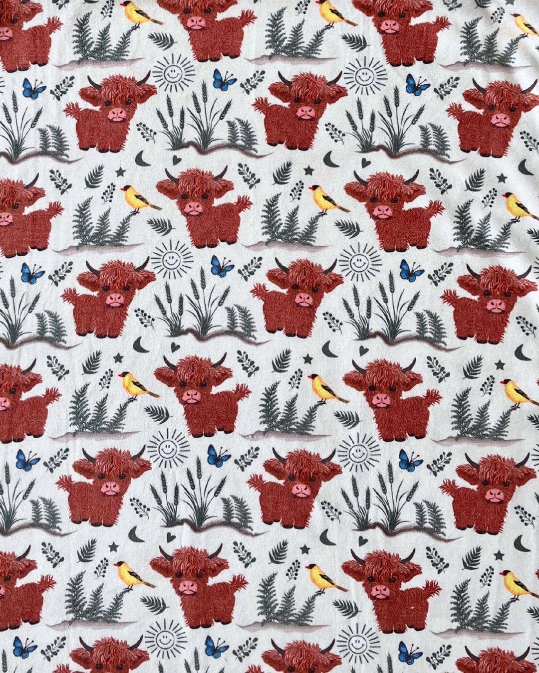 VACHES HIGHLAND (FOND BEIGE)