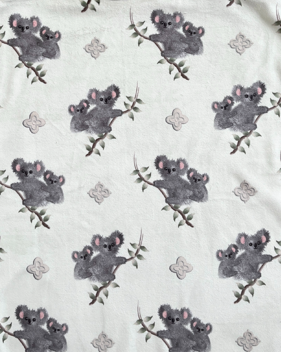 Koalas adorables
