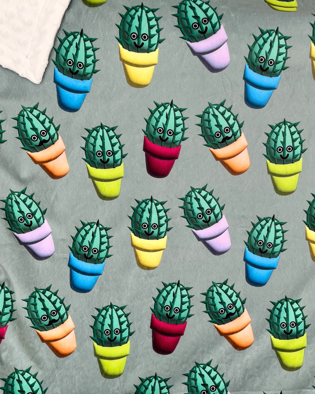 Cactus joyeux