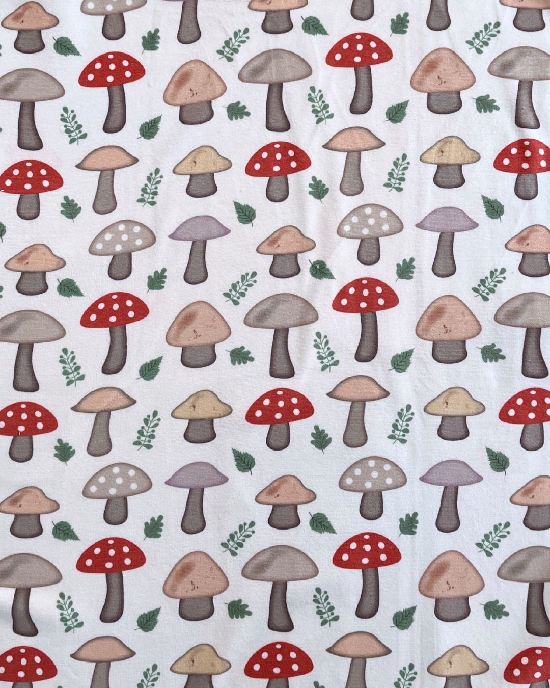 CHAMPIGNONS COLLECTION MONDE MERVEILLEUX