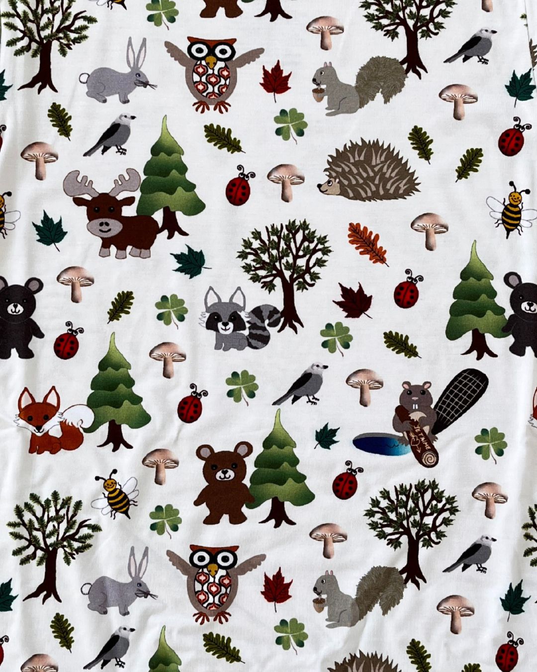 Animaux de la forêt joyeux