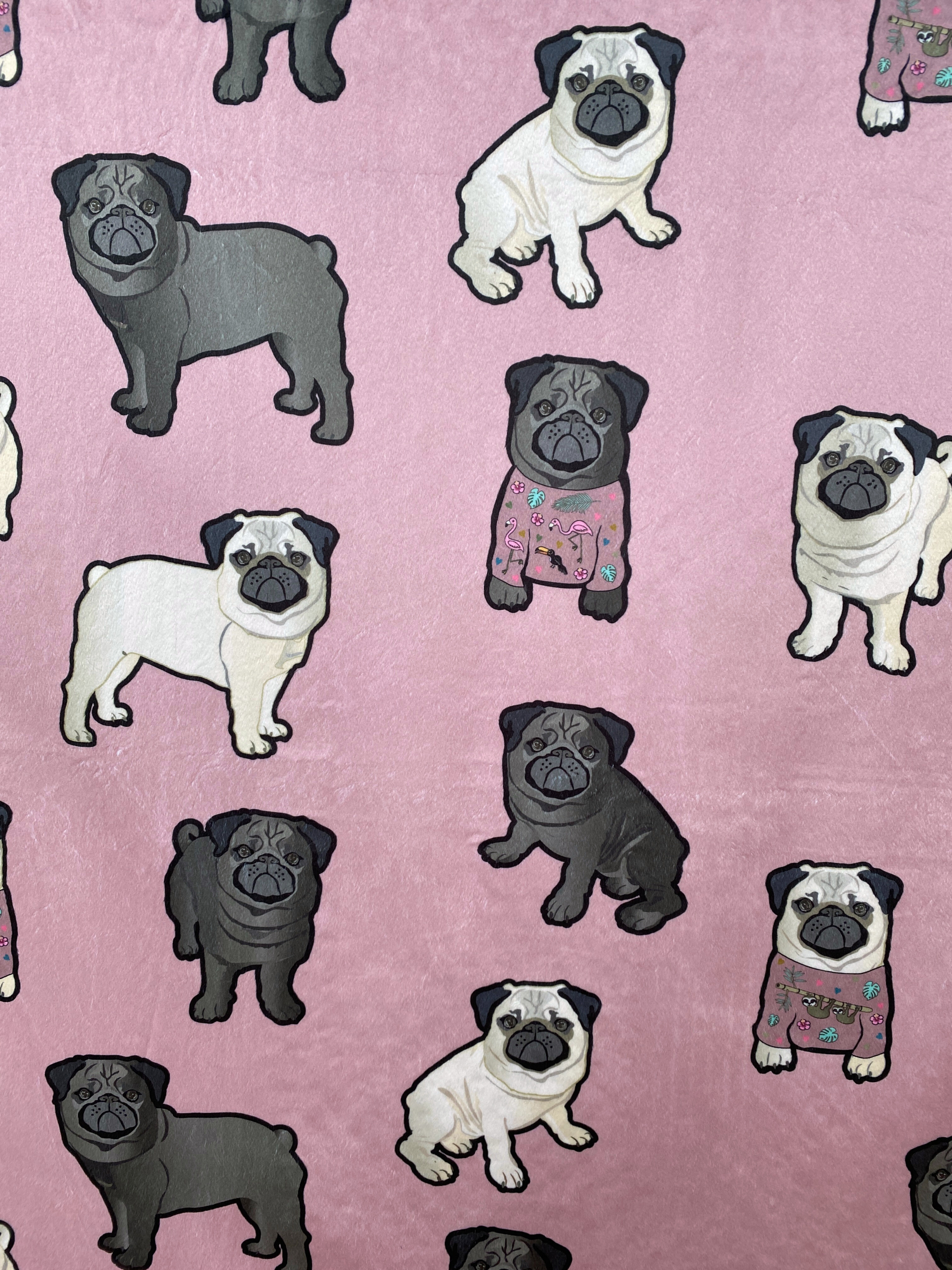 Ravissants Pugs