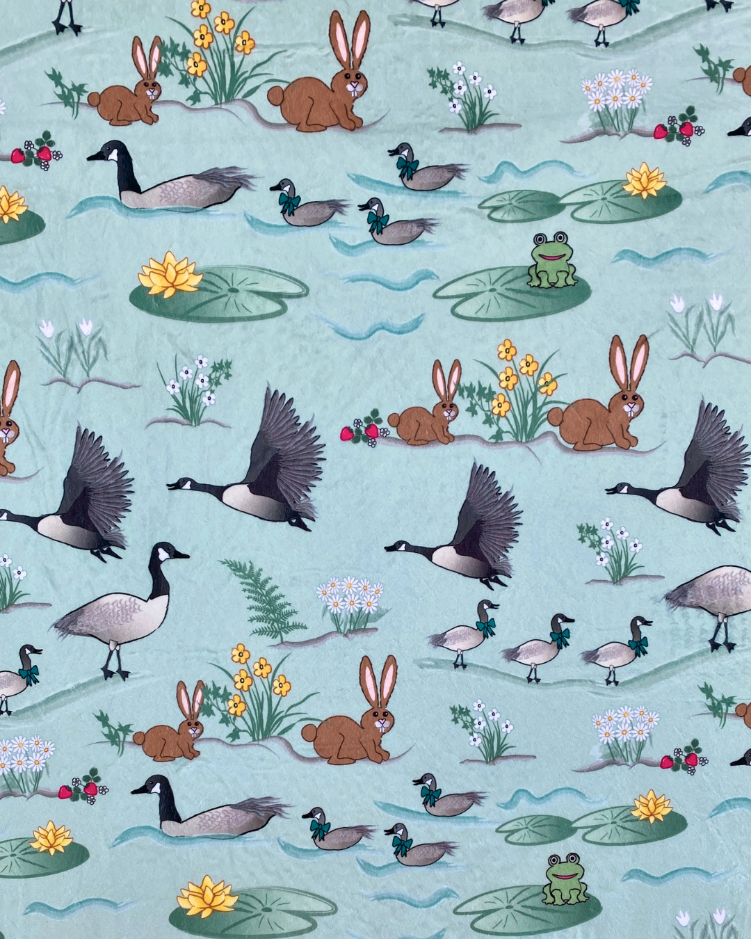 Bernaches et lapins