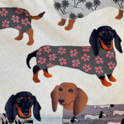Chiens Saucisses en Chandail