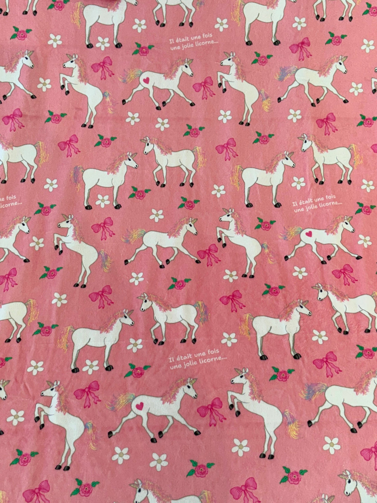 Il était une fois une licorne
