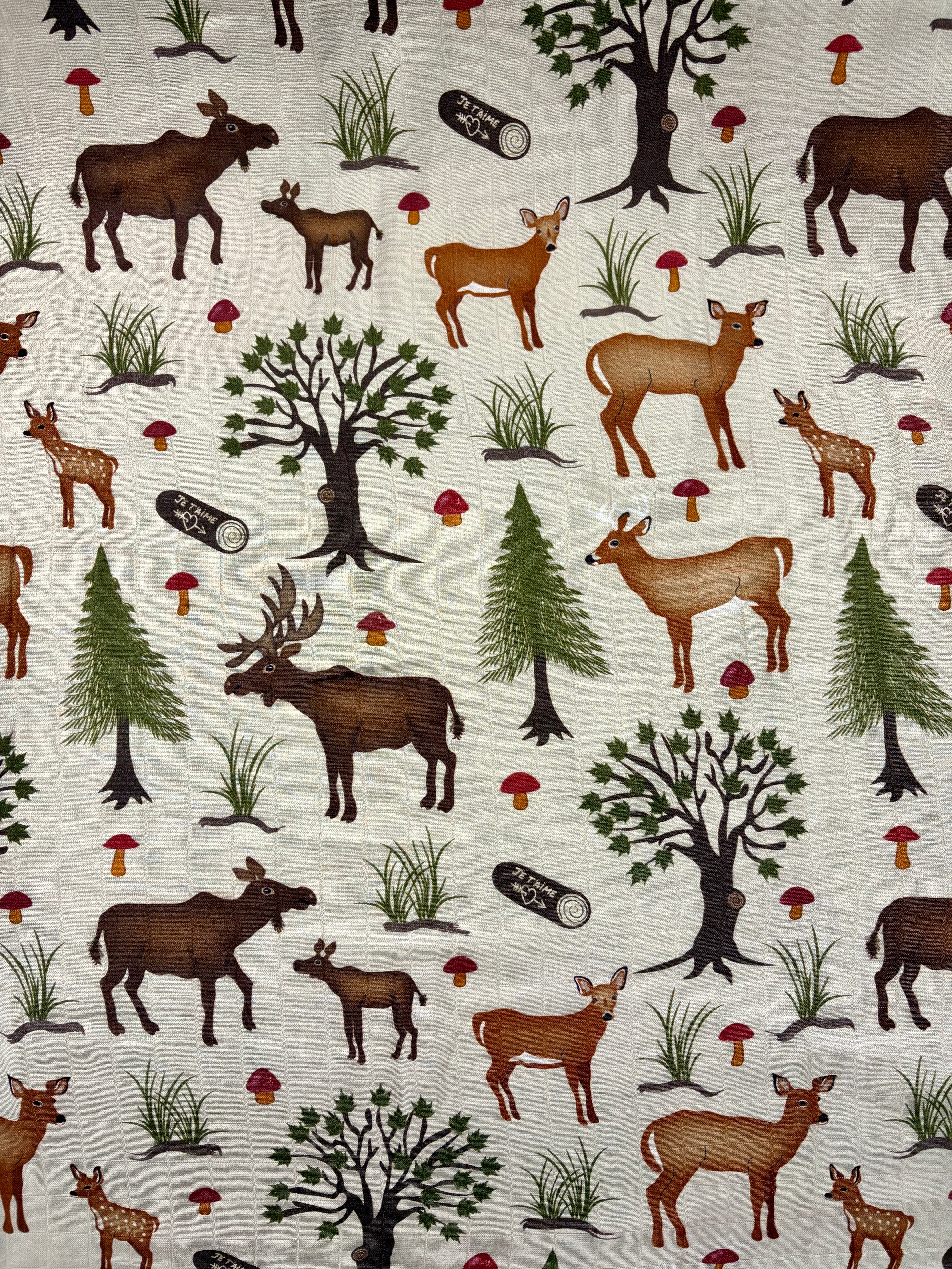 Chevreuils et orignaux dans la forêt