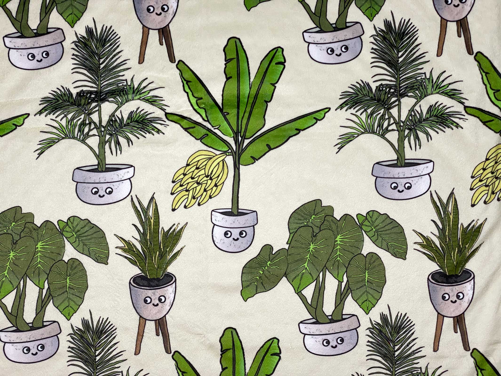Bananiers, Alocasia et