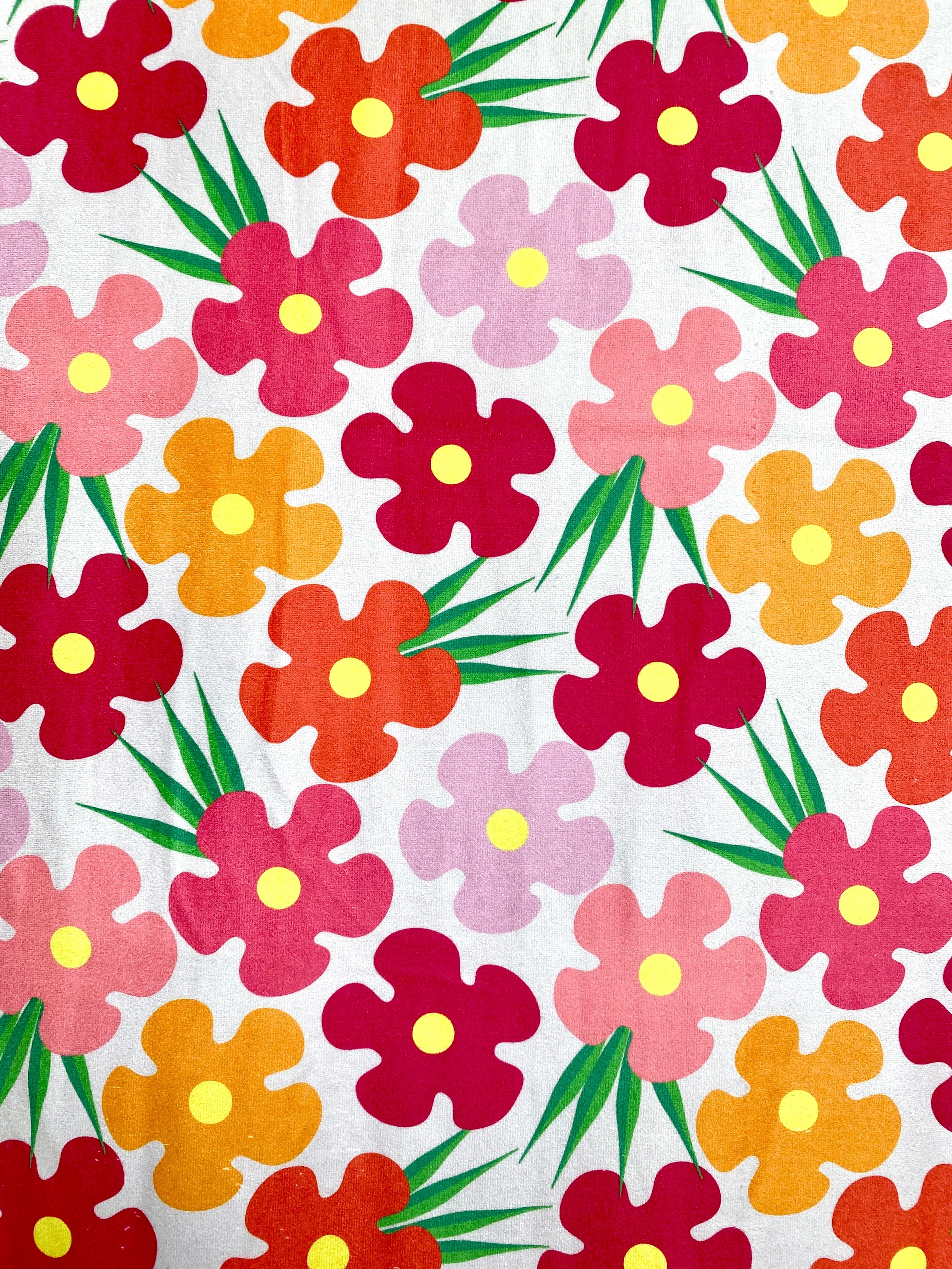 Fleurs flamboyantes