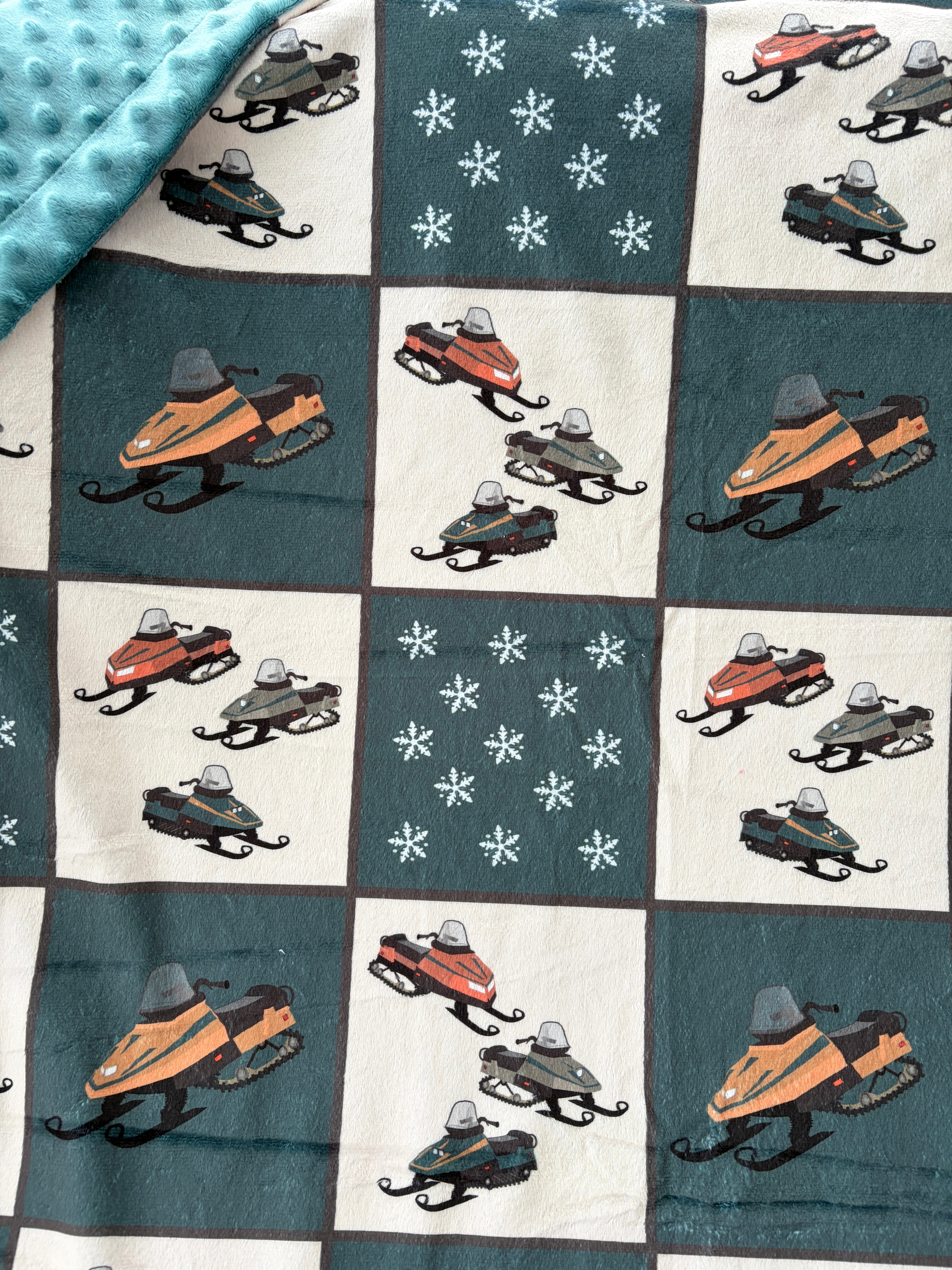 Amateurs de motoneige