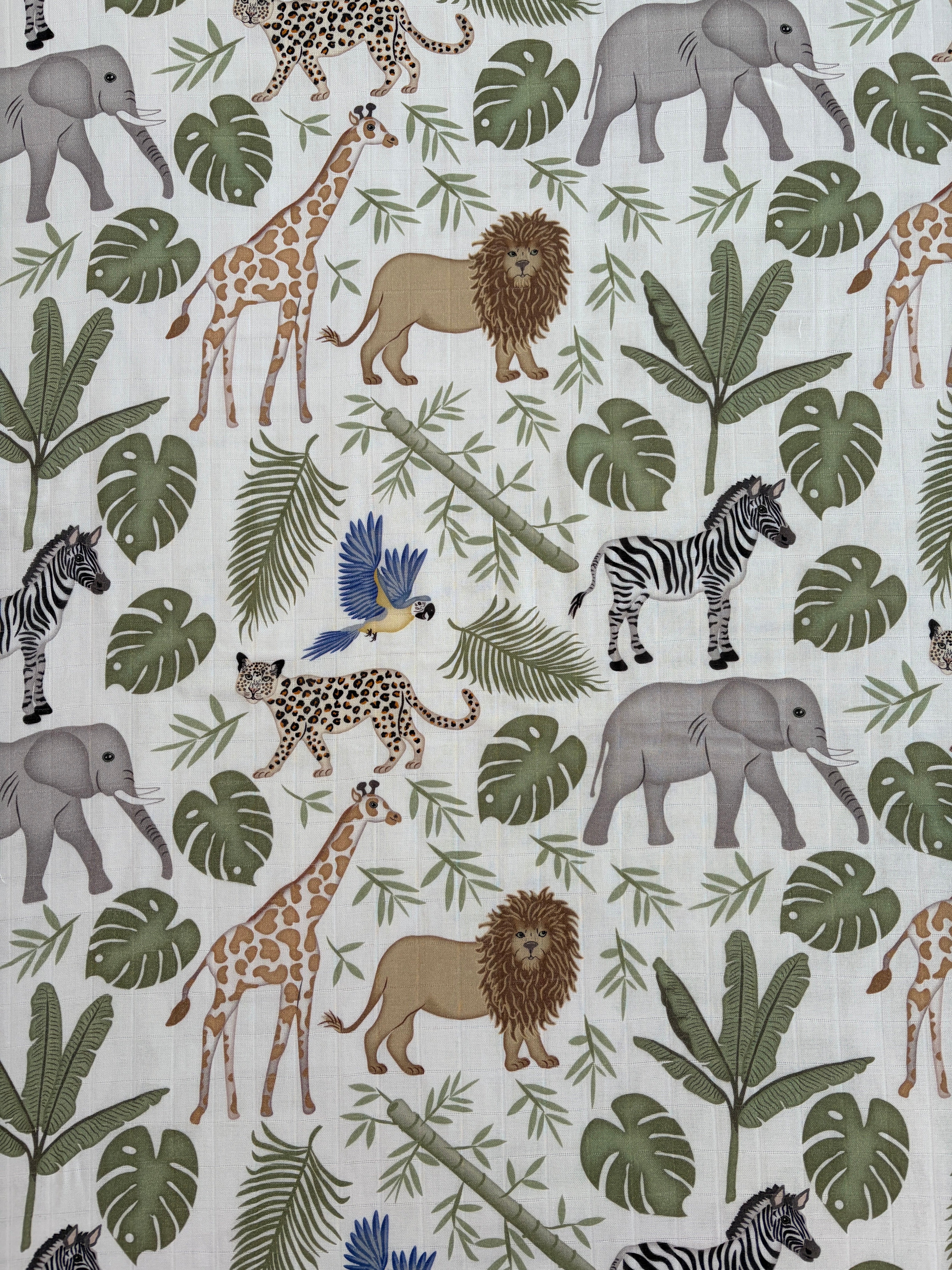 Safari dans la jungle tropical