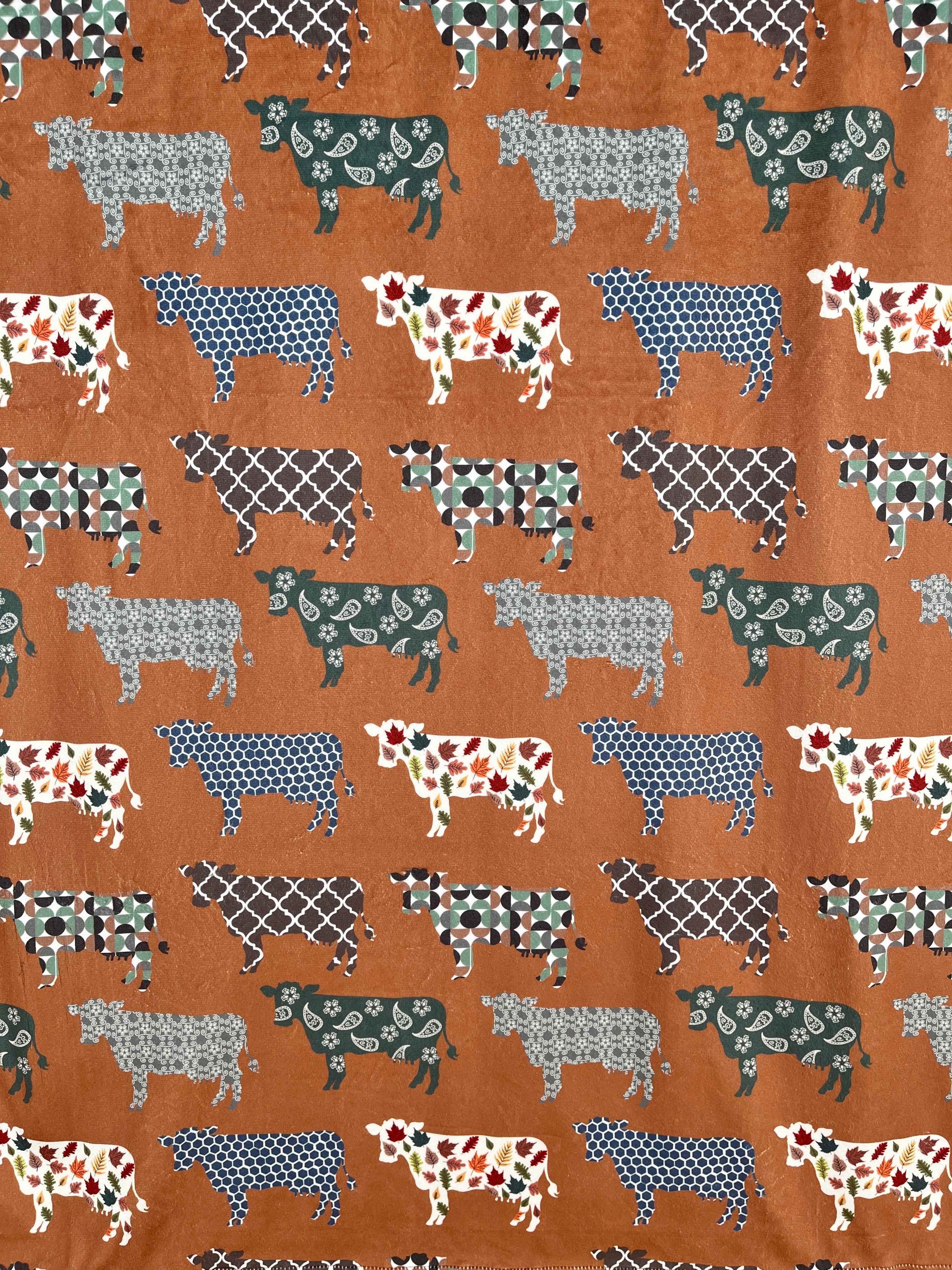 Vaches à la ferme