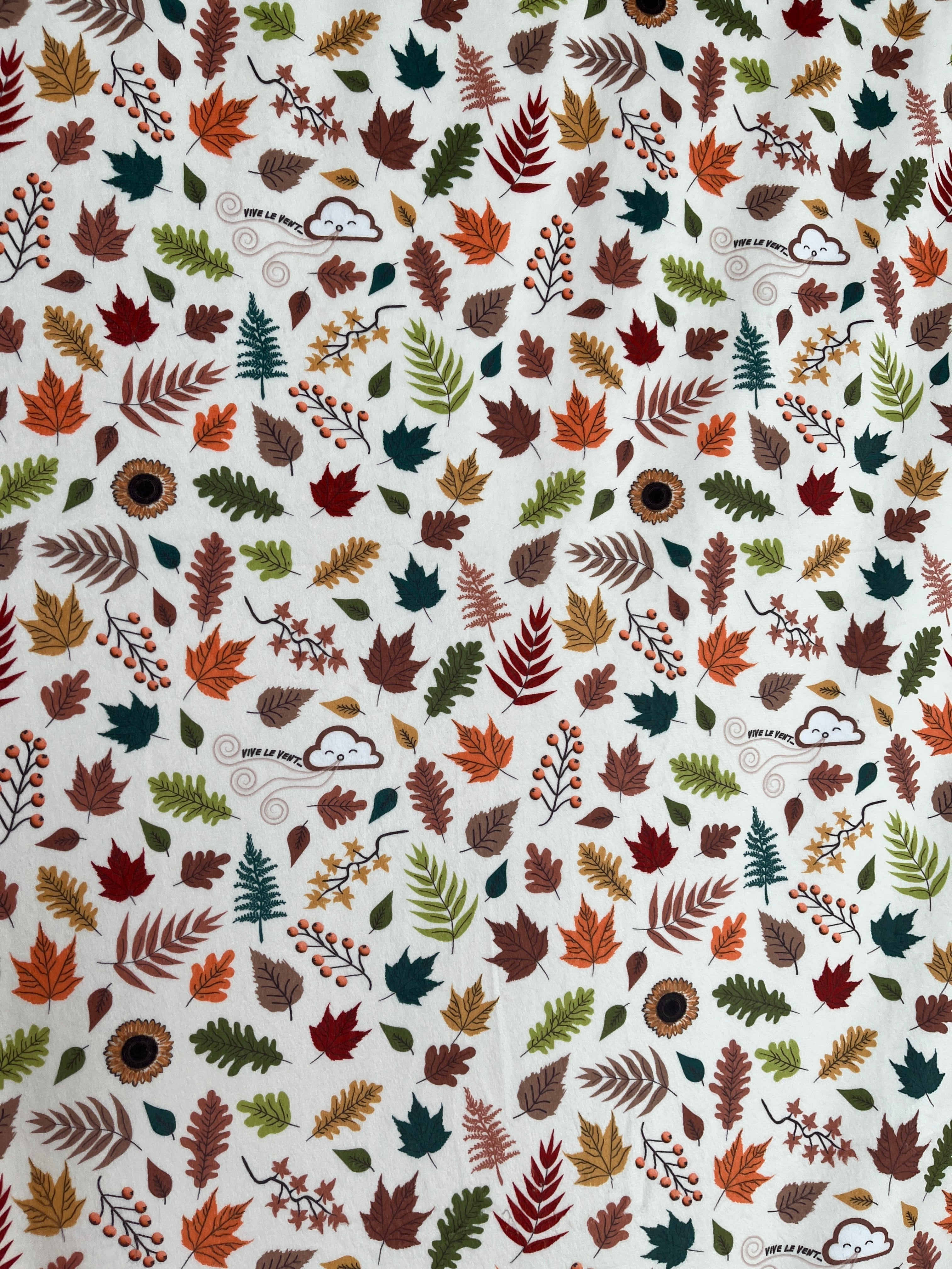 Vive le vent d'automne