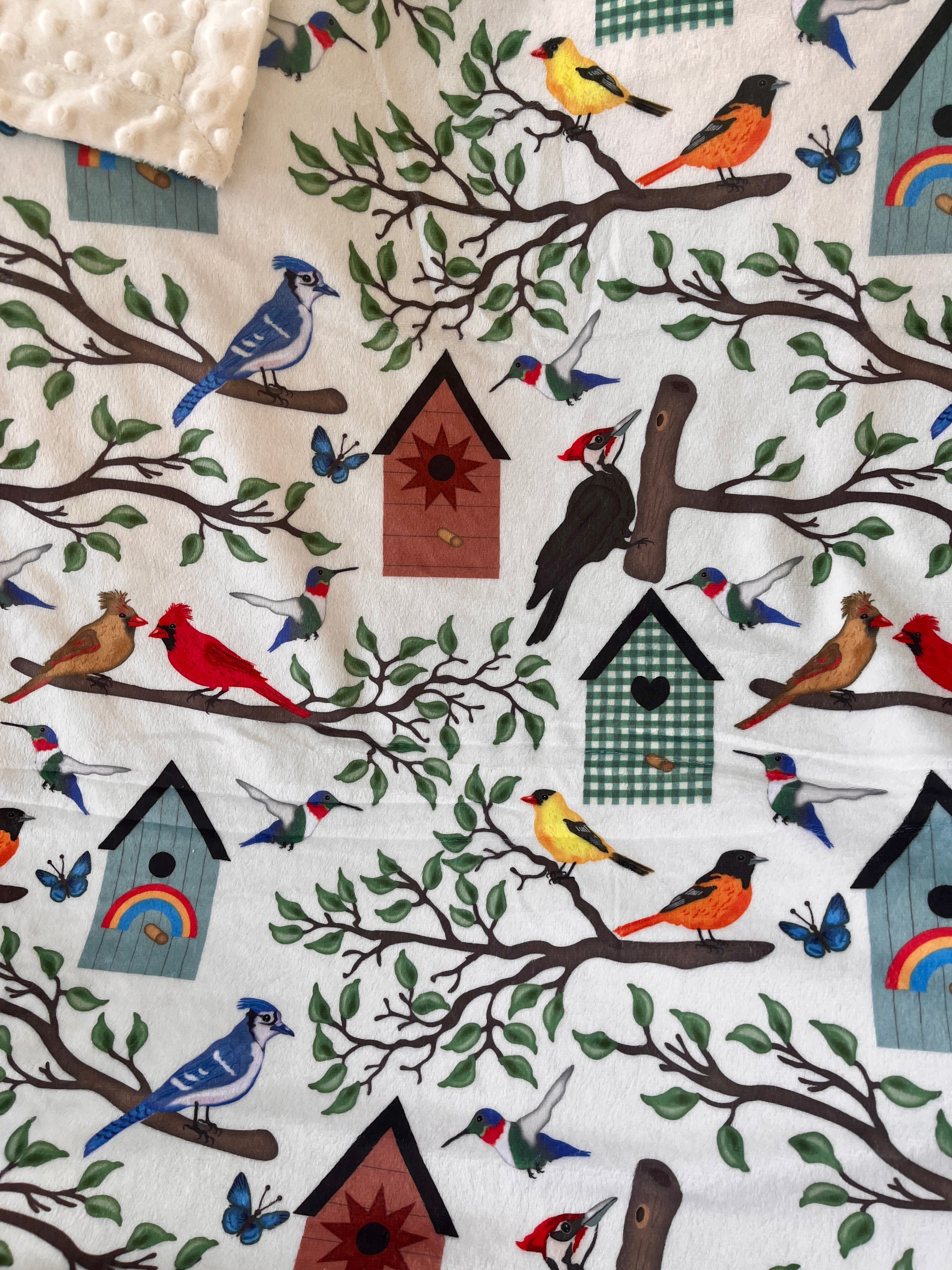 Passion oiseaux
