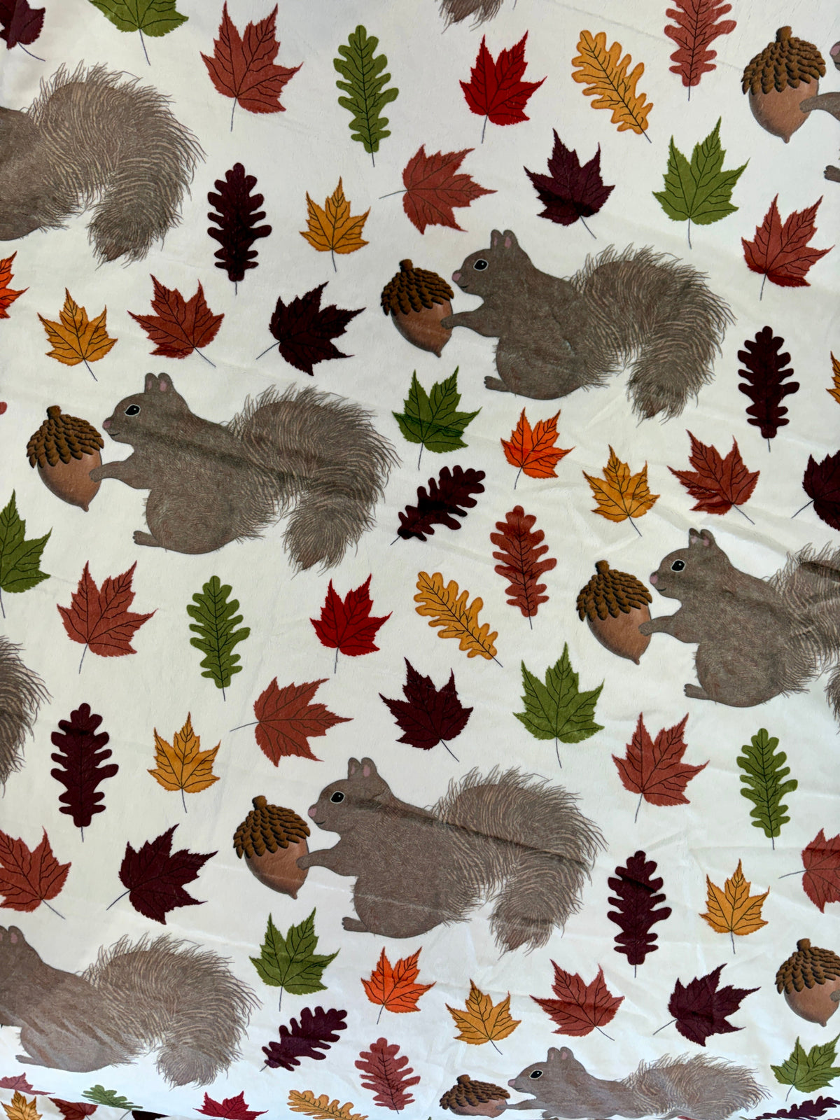 Écureuils dans les feuilles