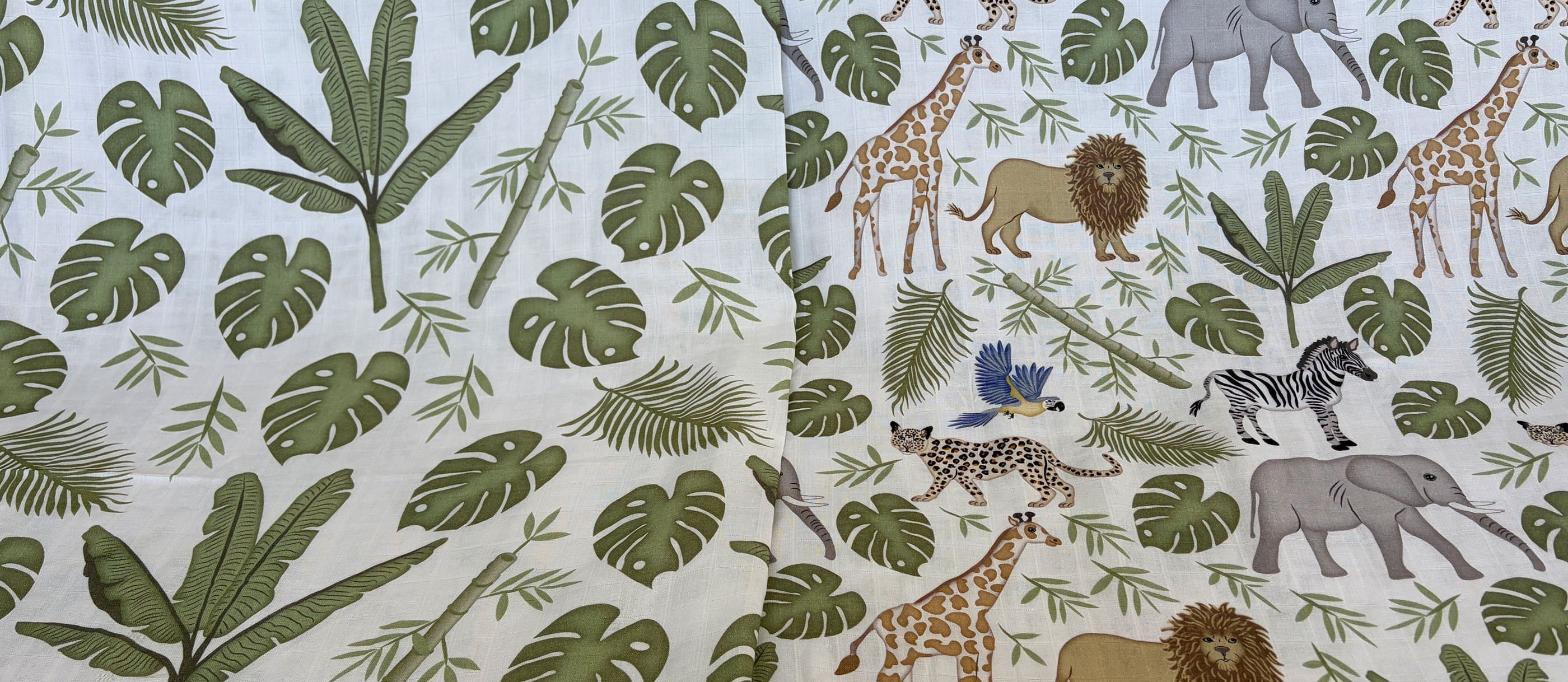 Feuillage de jungle et Safari dans la jungle tropical