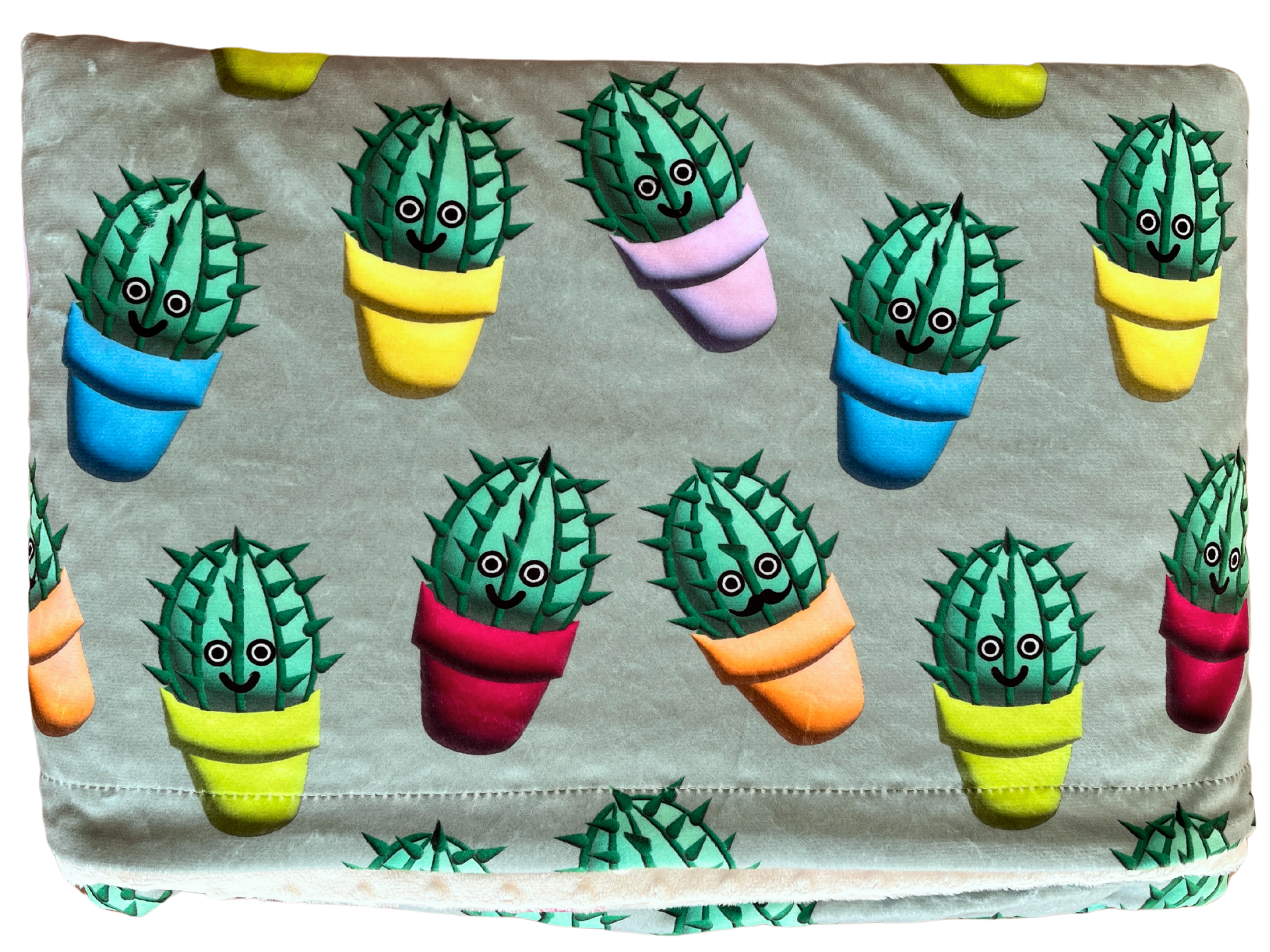 Baby Blanket: Happy Cactus