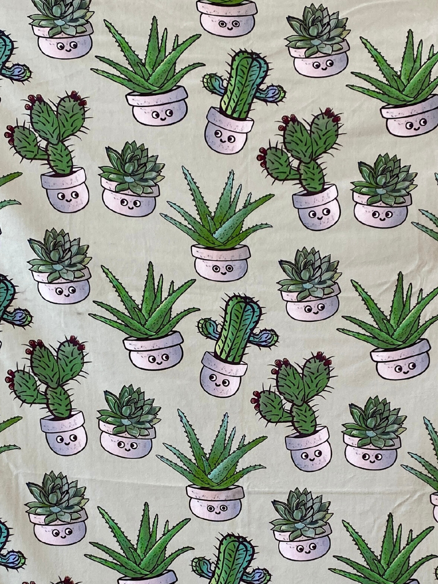 Adult Towel: Soft Cactus and Succulent Plants Sage Green