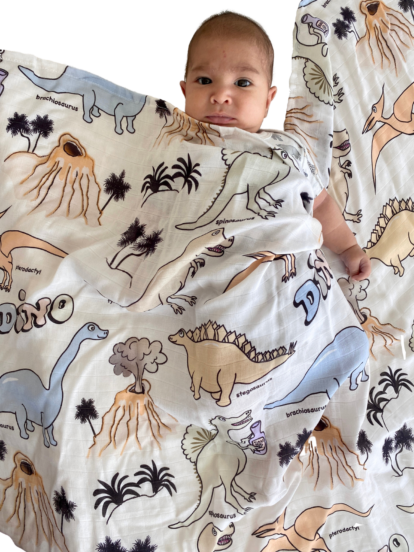 Muslin Swaddle: Dino Valley
