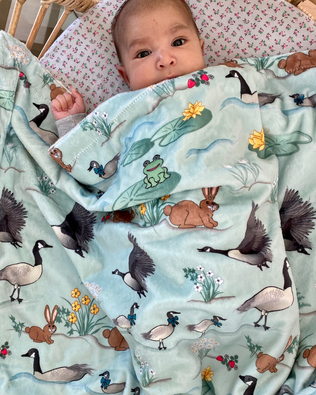 Baby Blanket: Canada Geese and Rabbits