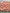 Couverture Moyenne : Dindons d’automne (fond rose)