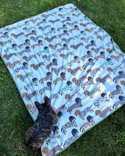 Giant Towel: Dachshund Dogs in Sweaters