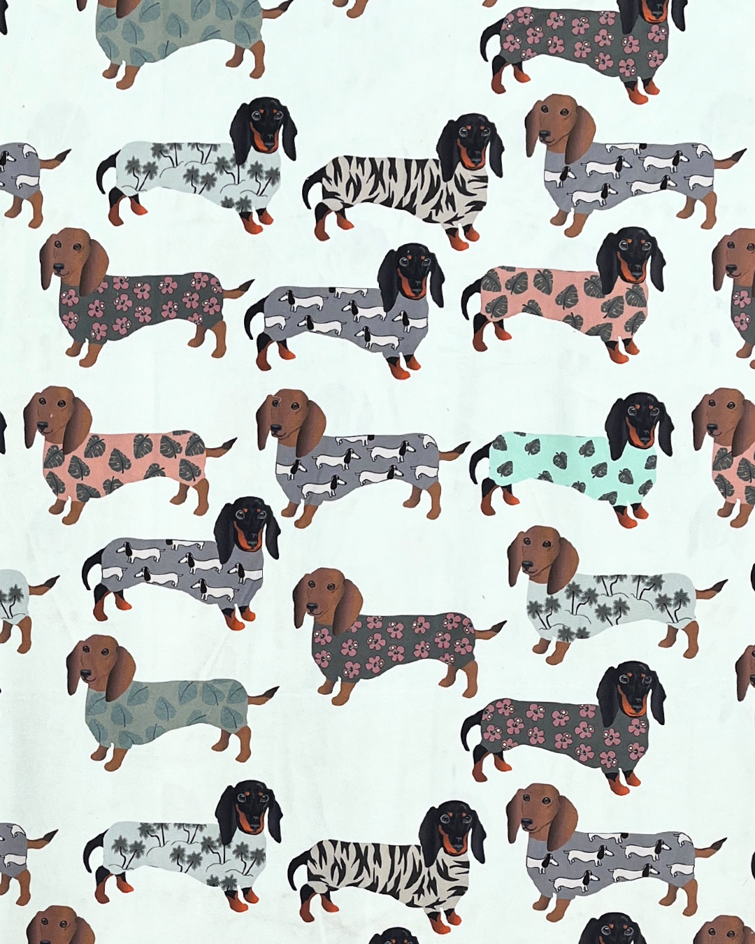 Adult Napkin: Sausage Dogs in Sweater