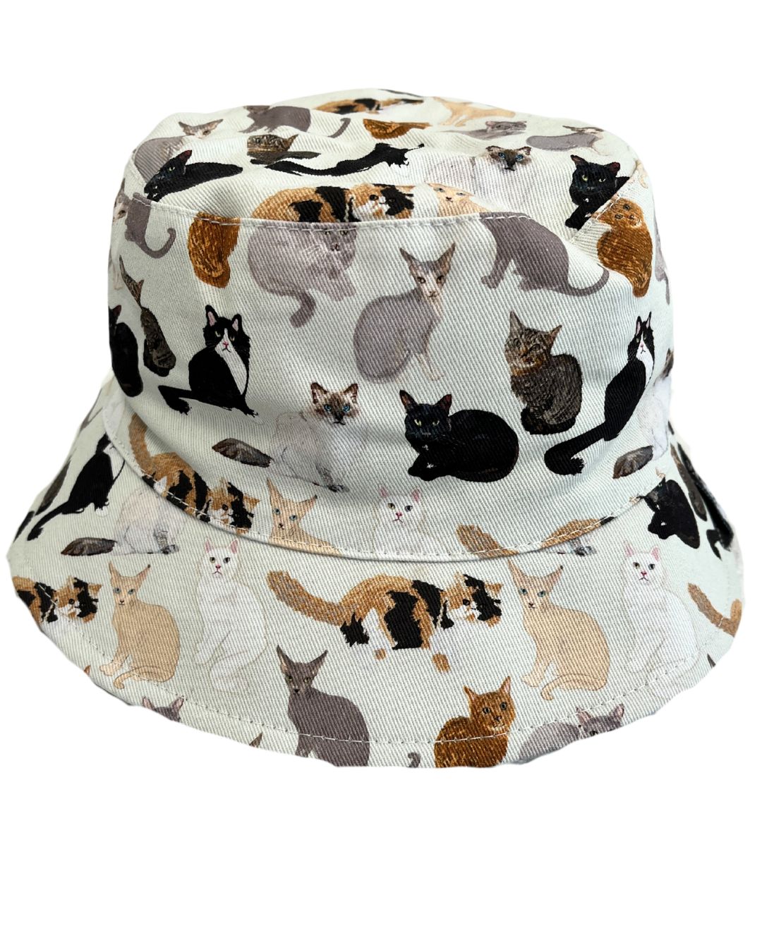 Chapeau Reversible : Mes amis les chats (fond jade)