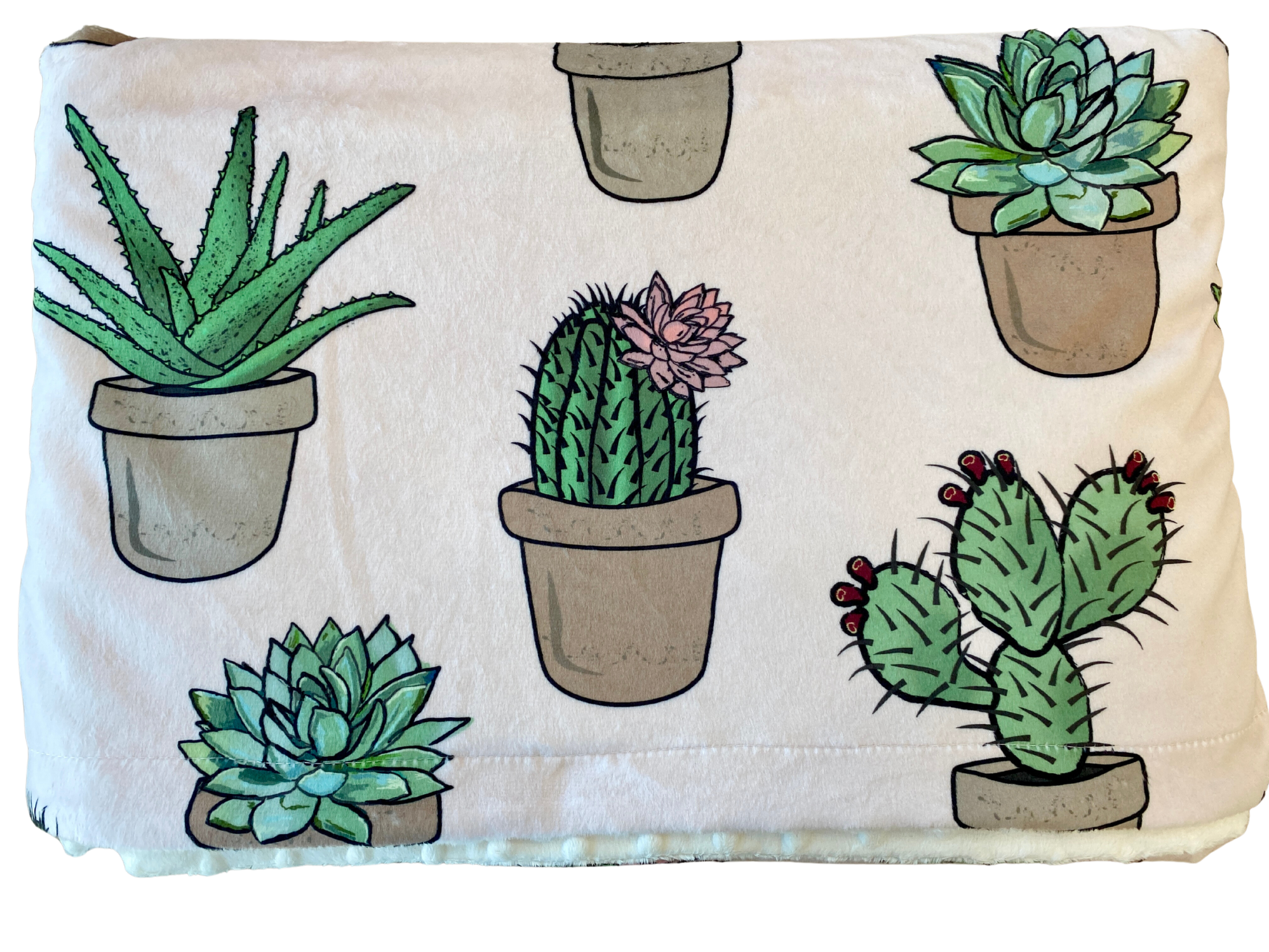 Baby blanket: Cactus With Pink Flowers