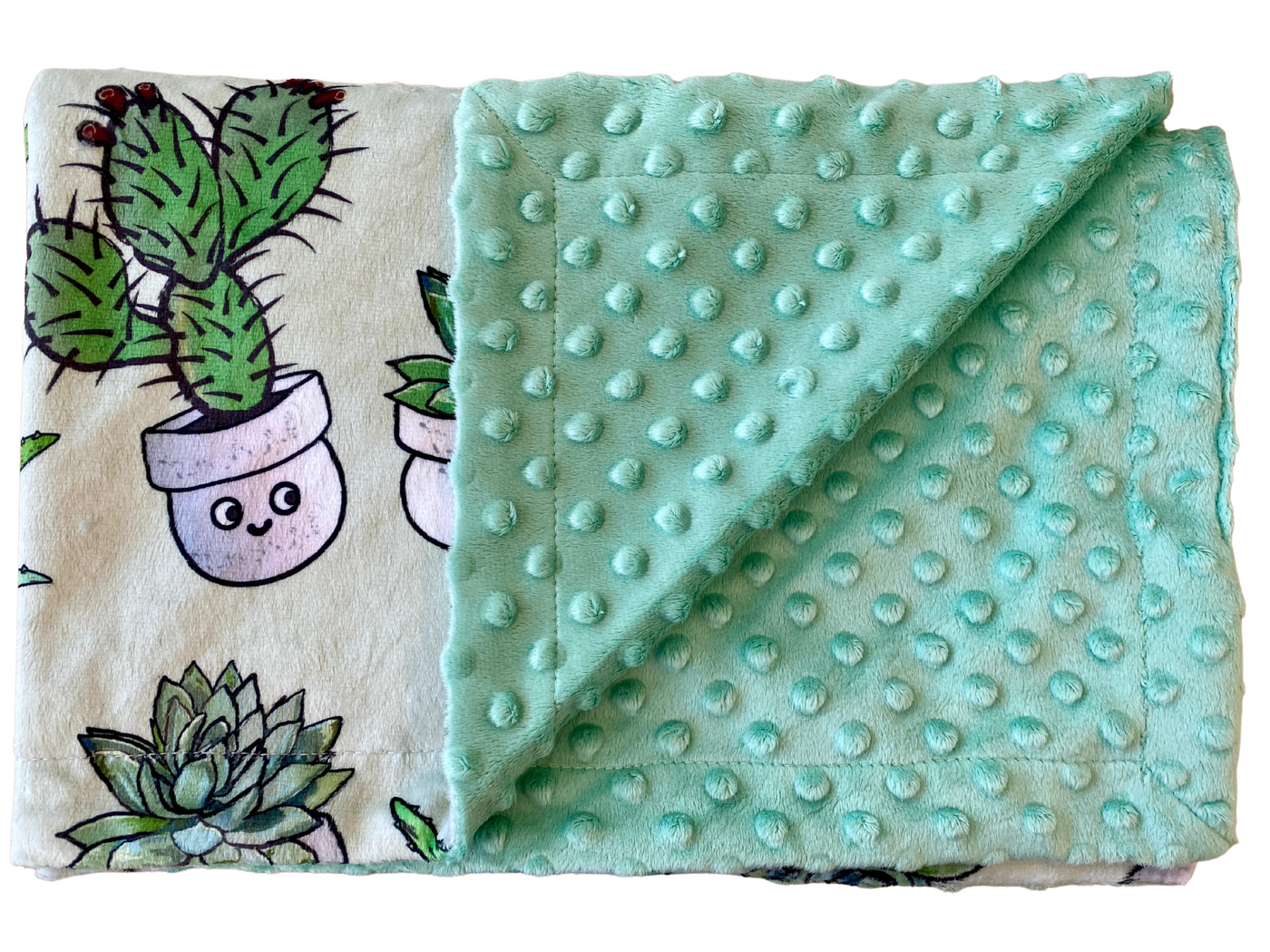 Baby blanket: Soft Cactus and Succulent plants Sage Green