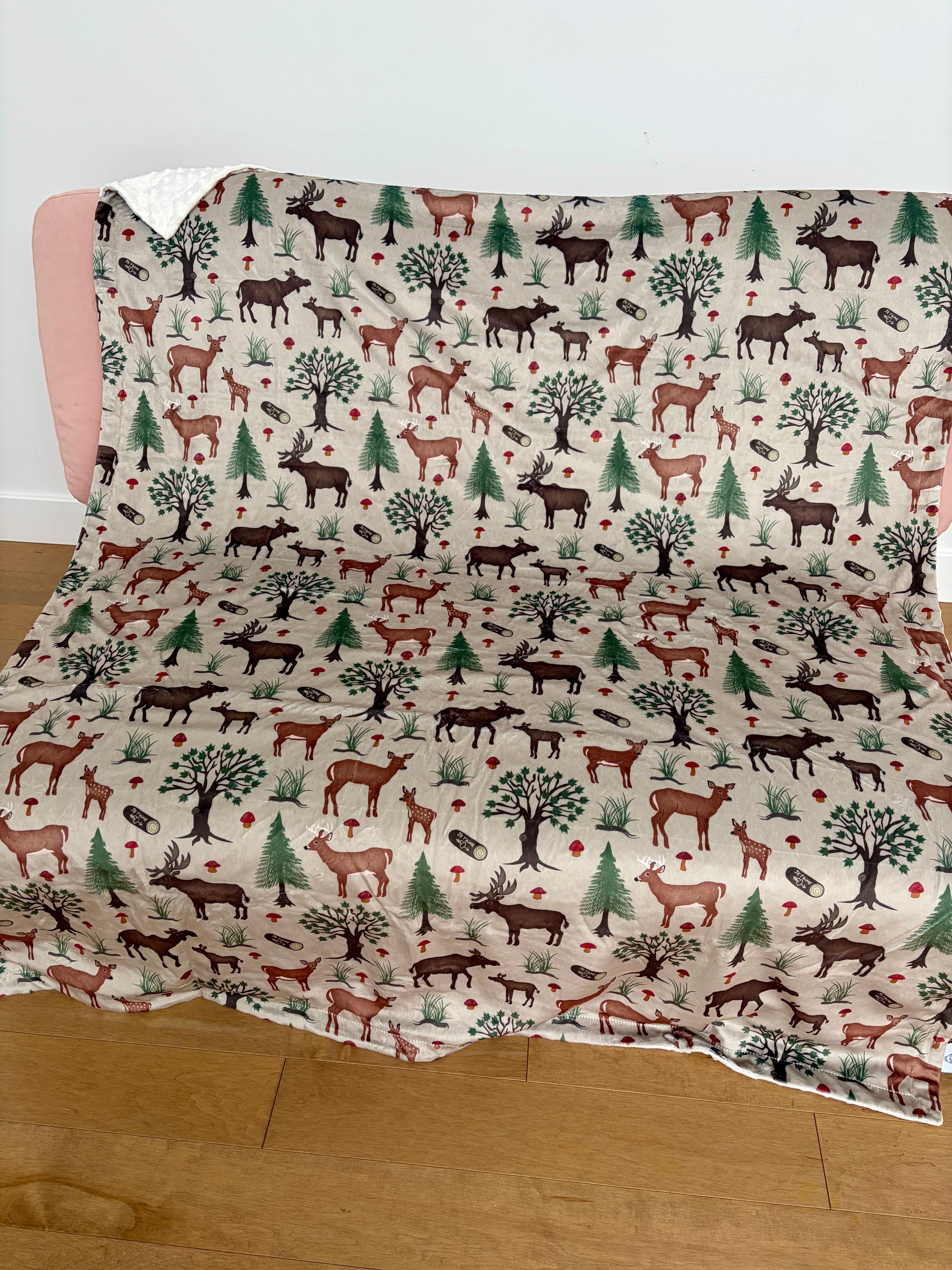 Couverture Moyenne : Chevreuils et orignaux dans la forêt