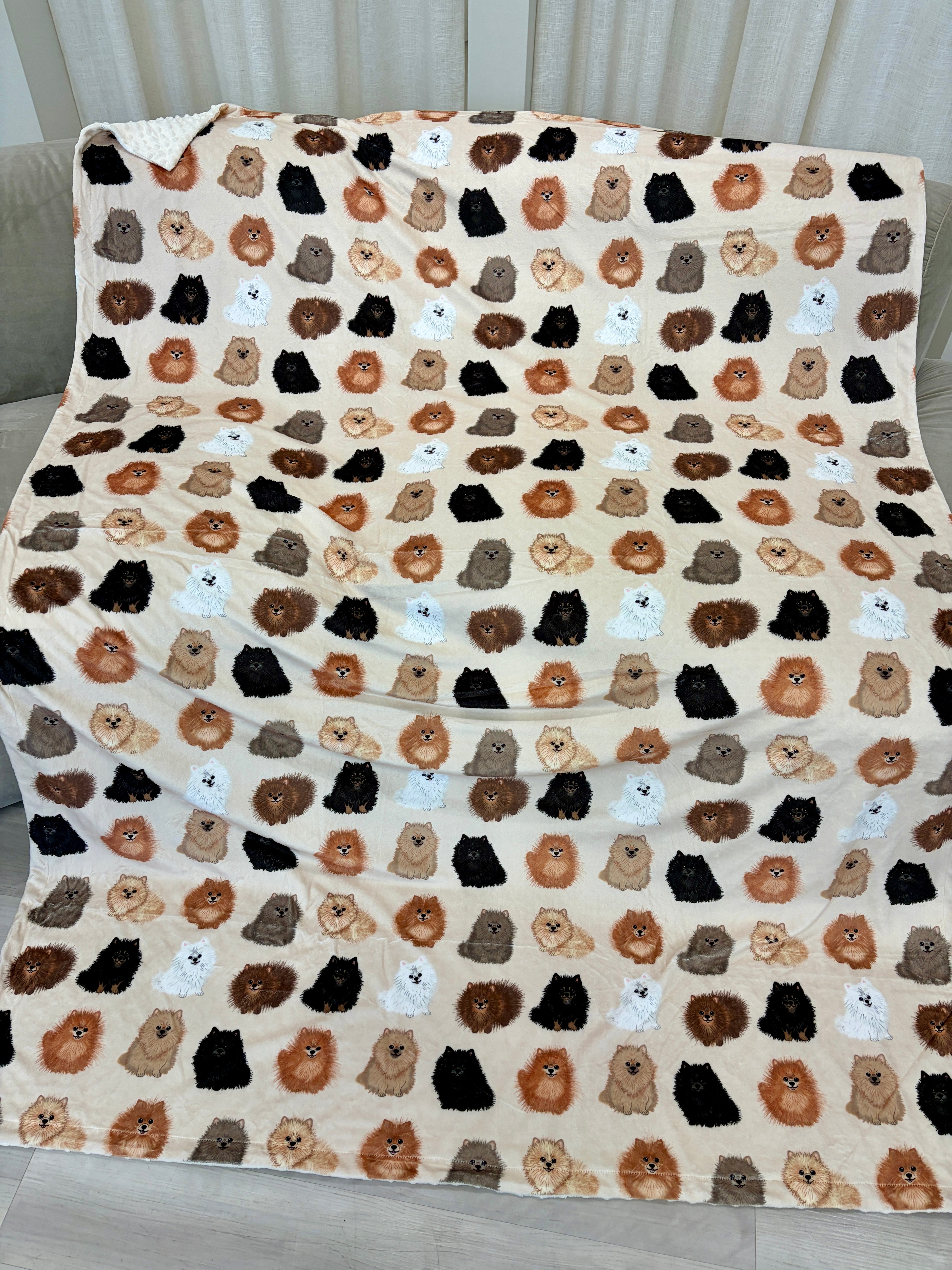 Couverture Géante : Poméraniens tout-doux