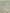 Couverture de mousseline: Citrons rayonnants