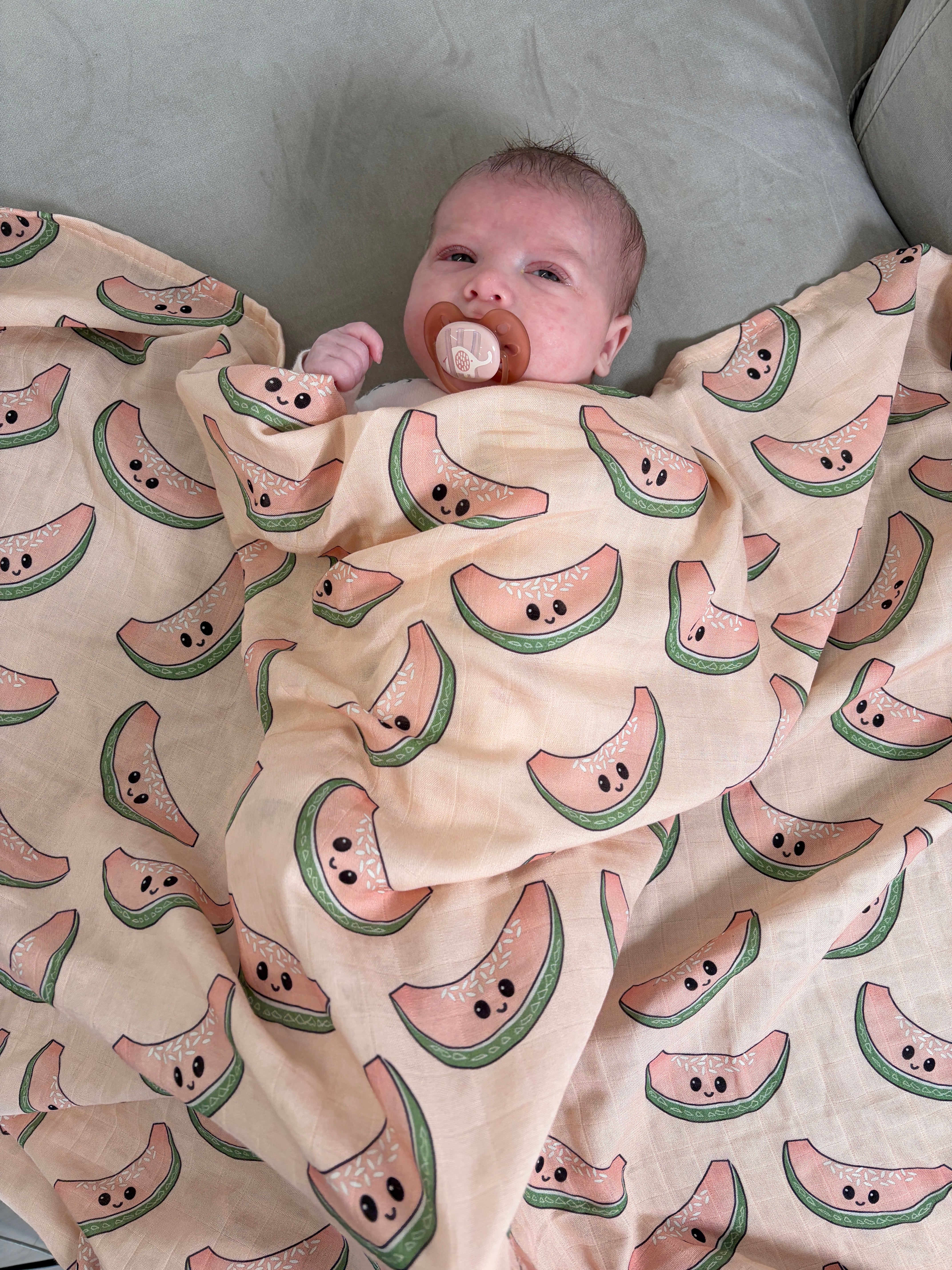 Couverture de mousseline: Cantaloupes captivantes