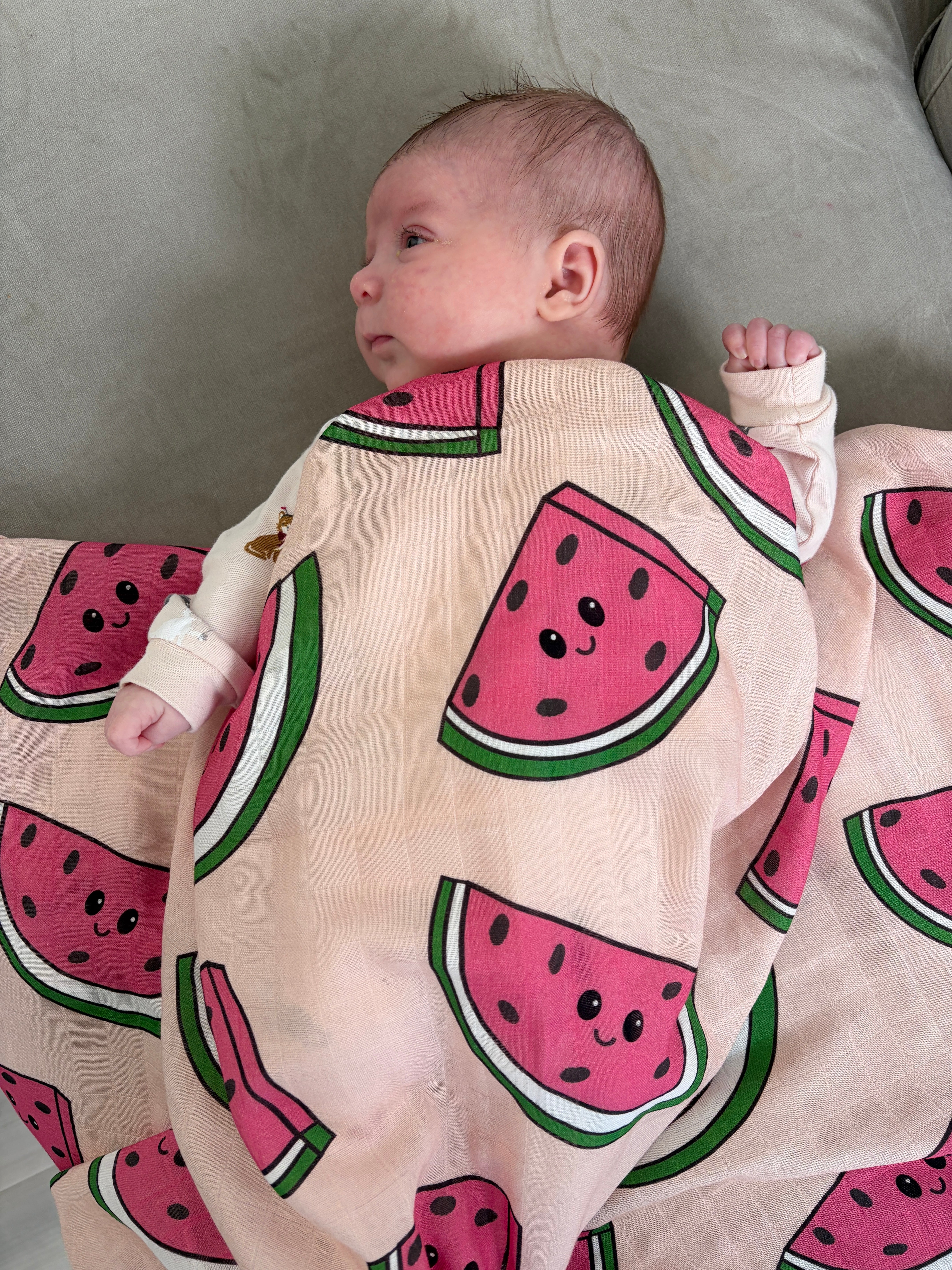 Couverture de mousseline: Melons d'eau