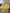 Friendly Bananas: Medium Cover