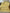 Giant Cover: Friendly Bananas