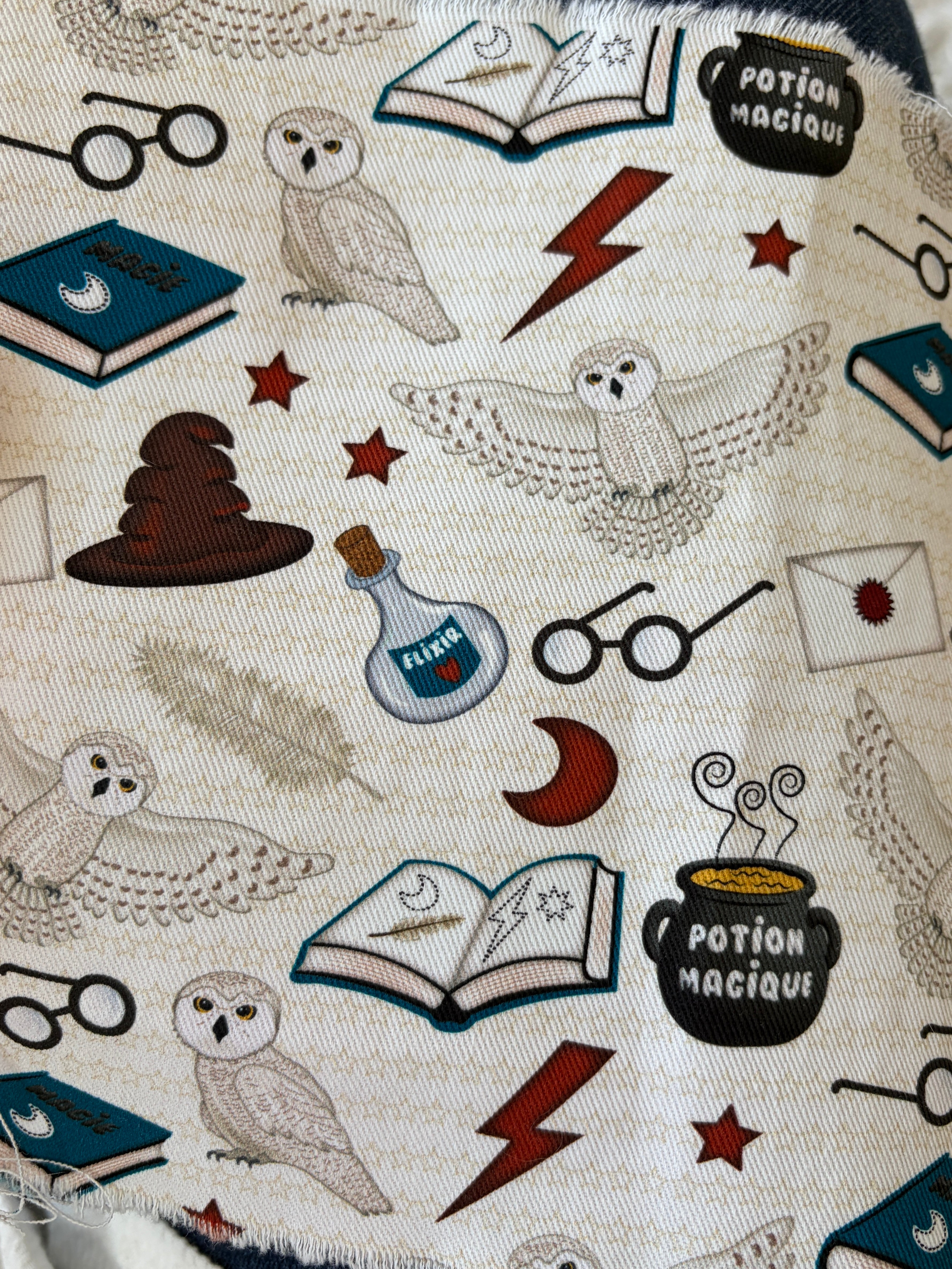 Chapeau Reversible : Potion magique pour sorciers et sorcières