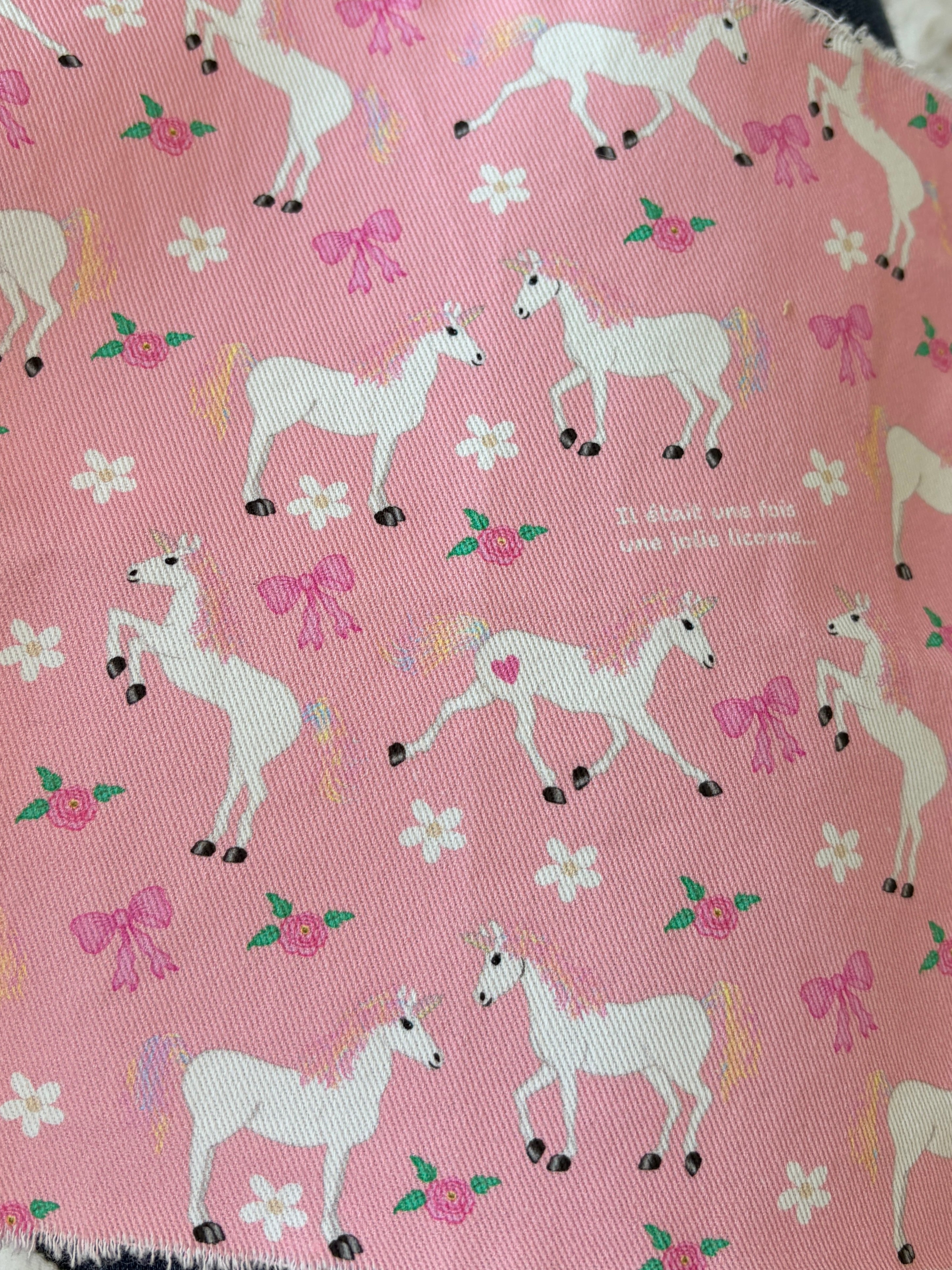 Chapeau Reversible : Il était une fois une licorne
