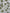 Couverture de mousseline: Feuillage de jungle