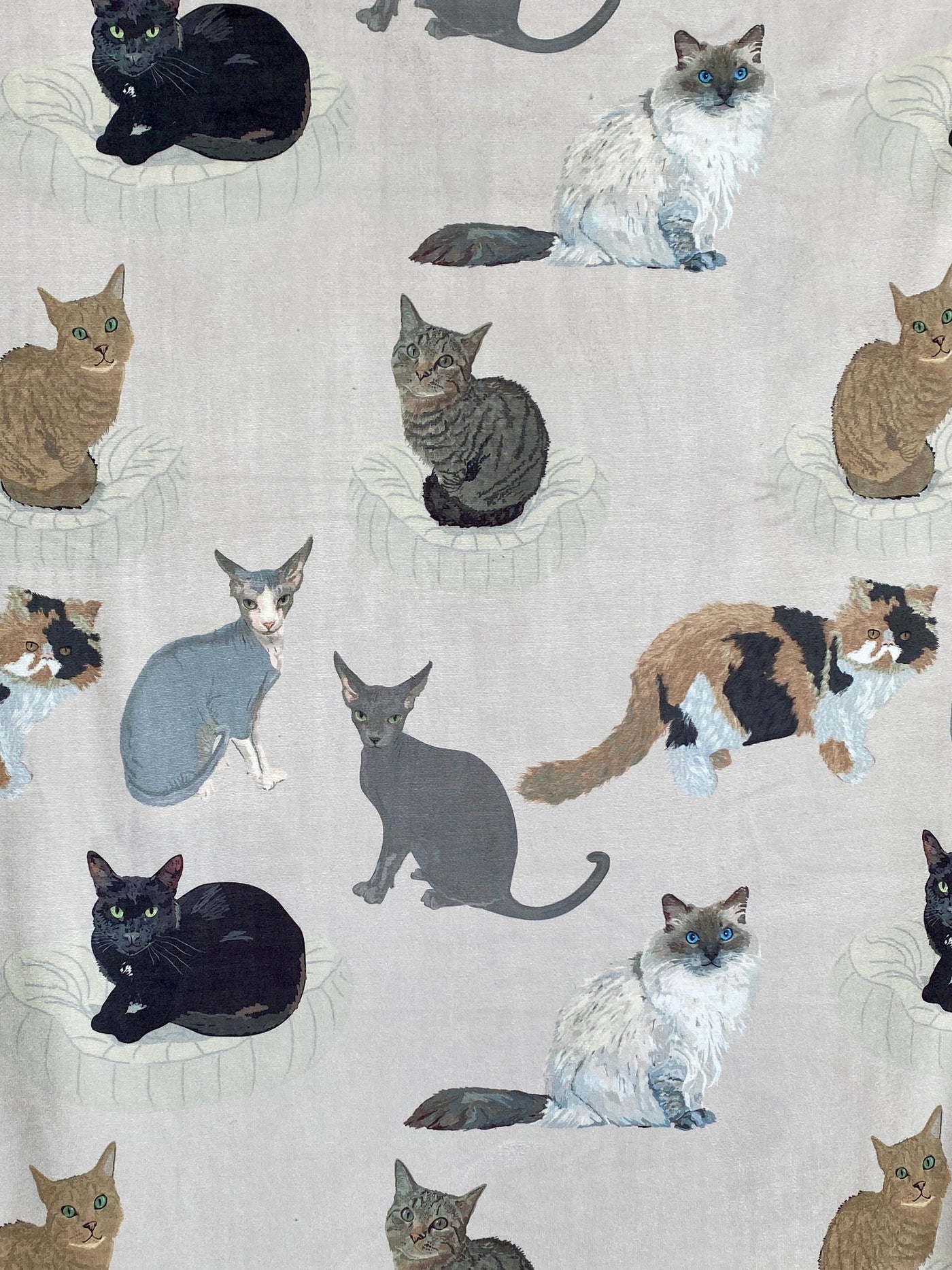 Adult Towel: My Cat Friends (Beige Background)