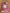 Musselin fitted sheet for crib: BOHO Daisies (raspberry background)