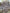 Couverture de mousseline: Peau de vache
