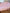 Couverture Moyenne : Motif gingham rose, roses et boucles
