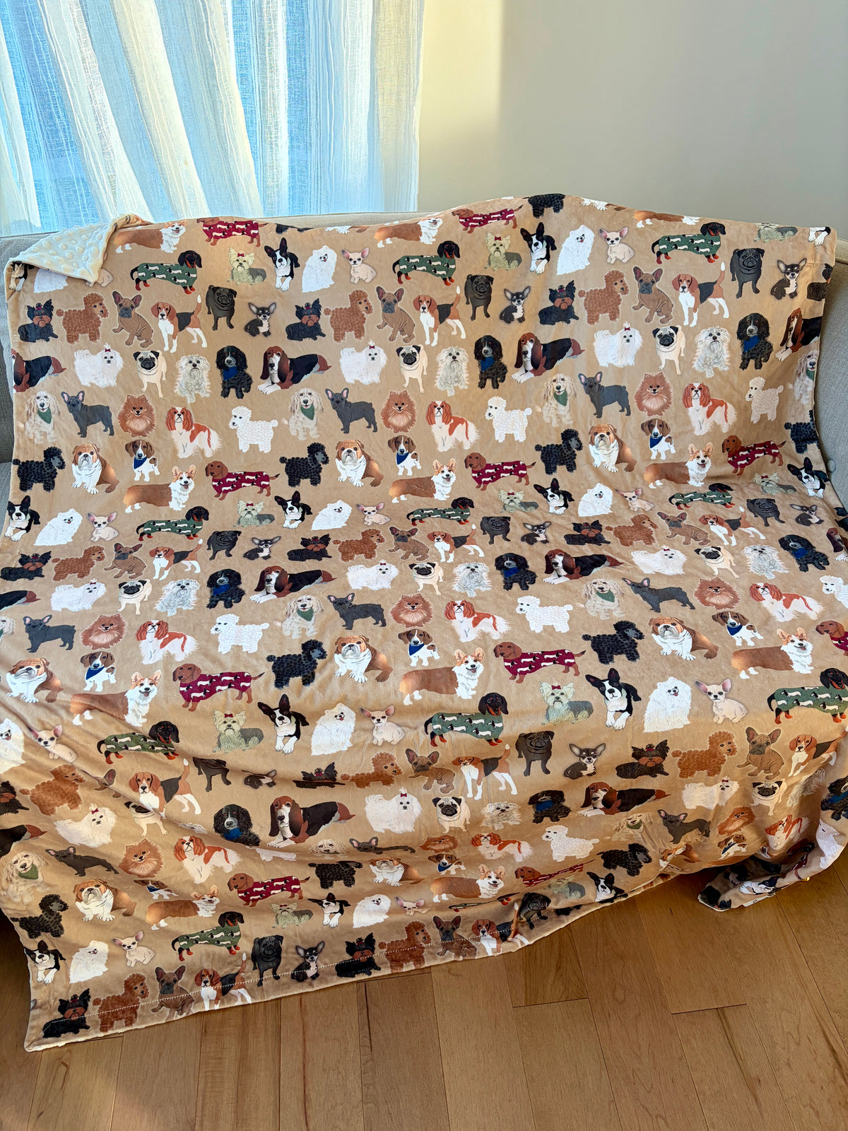 Couverture Moyenne : Amoureux des petits chiens
