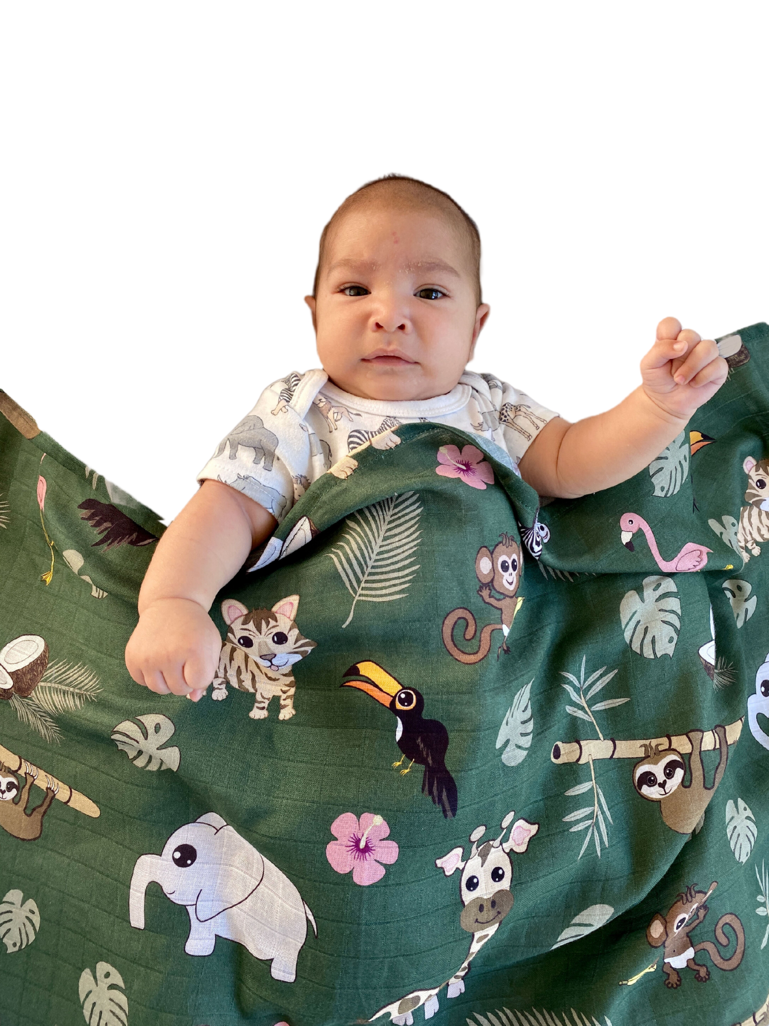 Couverture de mousseline: Animaux de la jungle