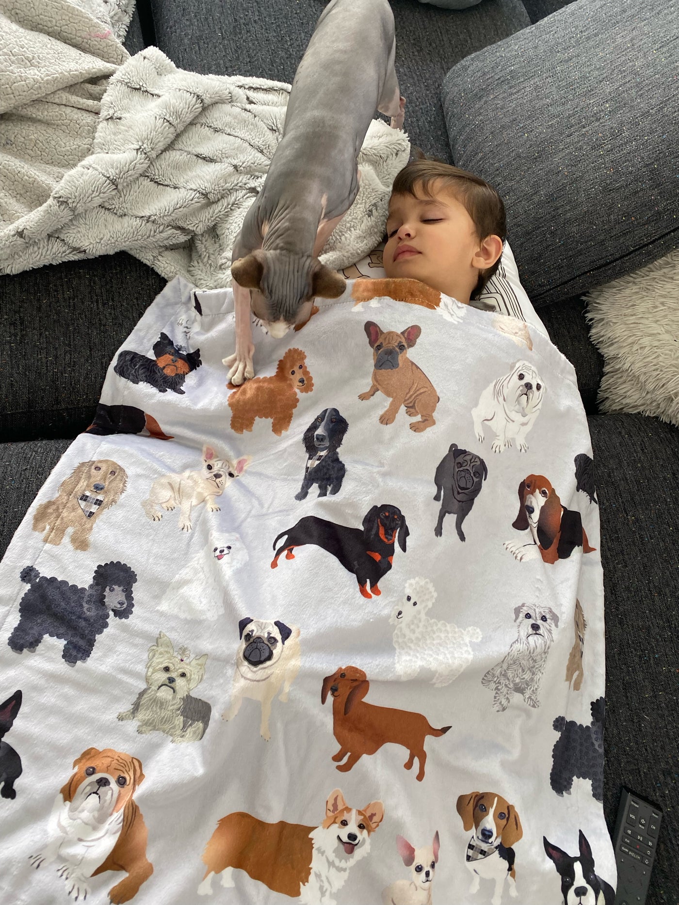 Baby blanket: Little Dogs Lover