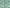 Baby blanket: Soft Cactus and Succulent plants turquoise