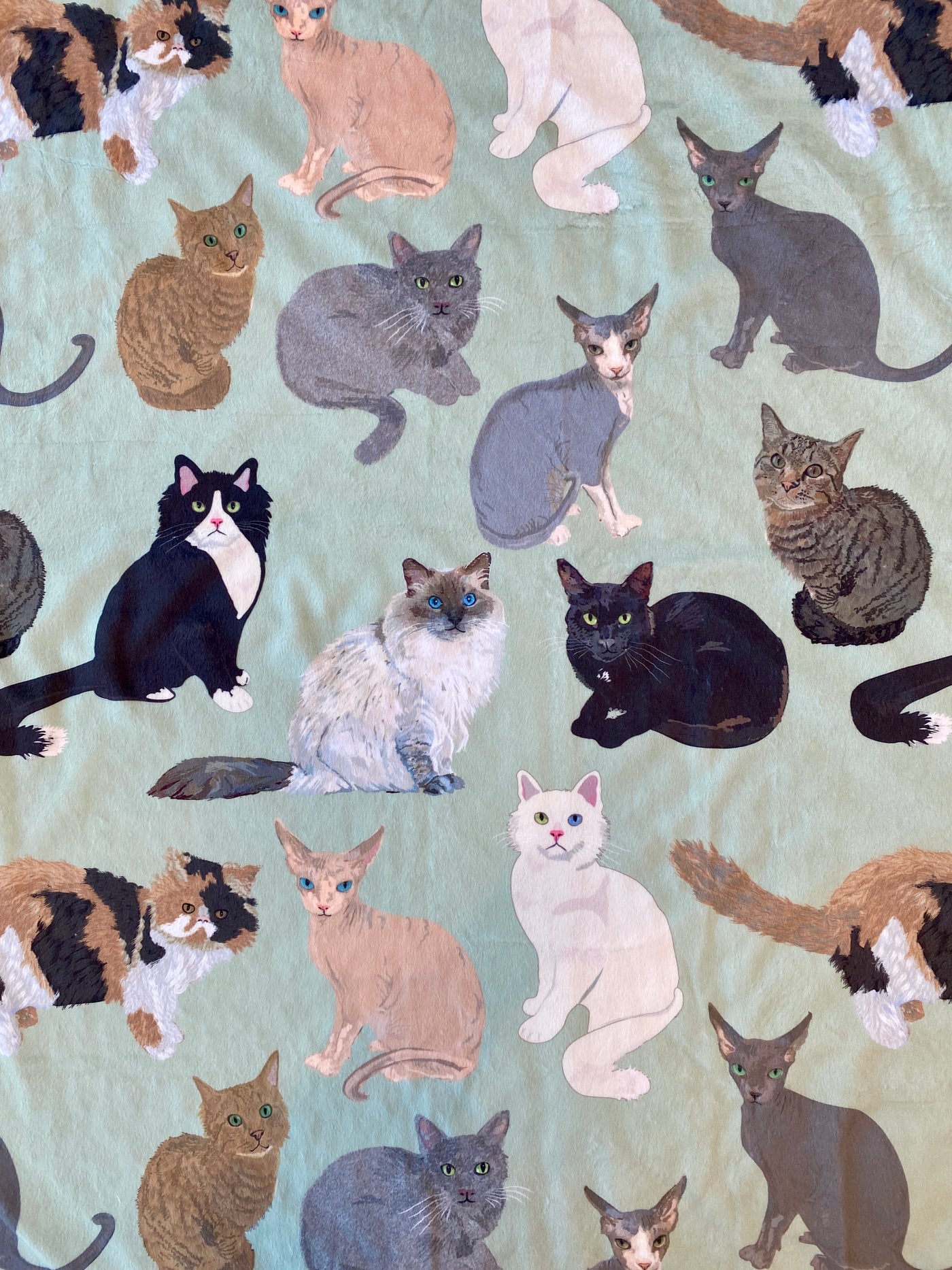 Giant blanket: My Cat Friends (Light Green Background)
